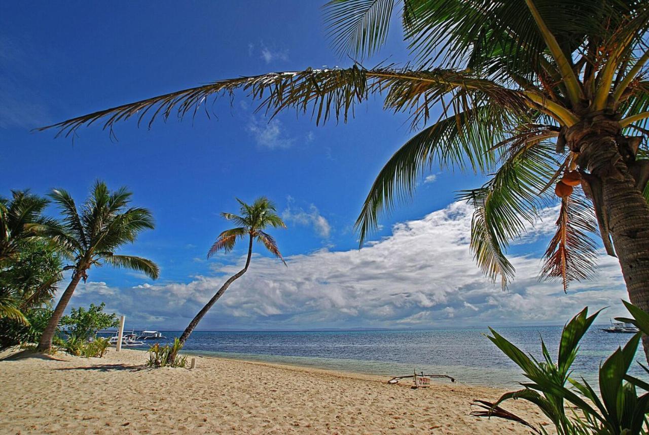 Malapascua Exotic Island Dive Resort Daanbantayan Dış mekan fotoğraf